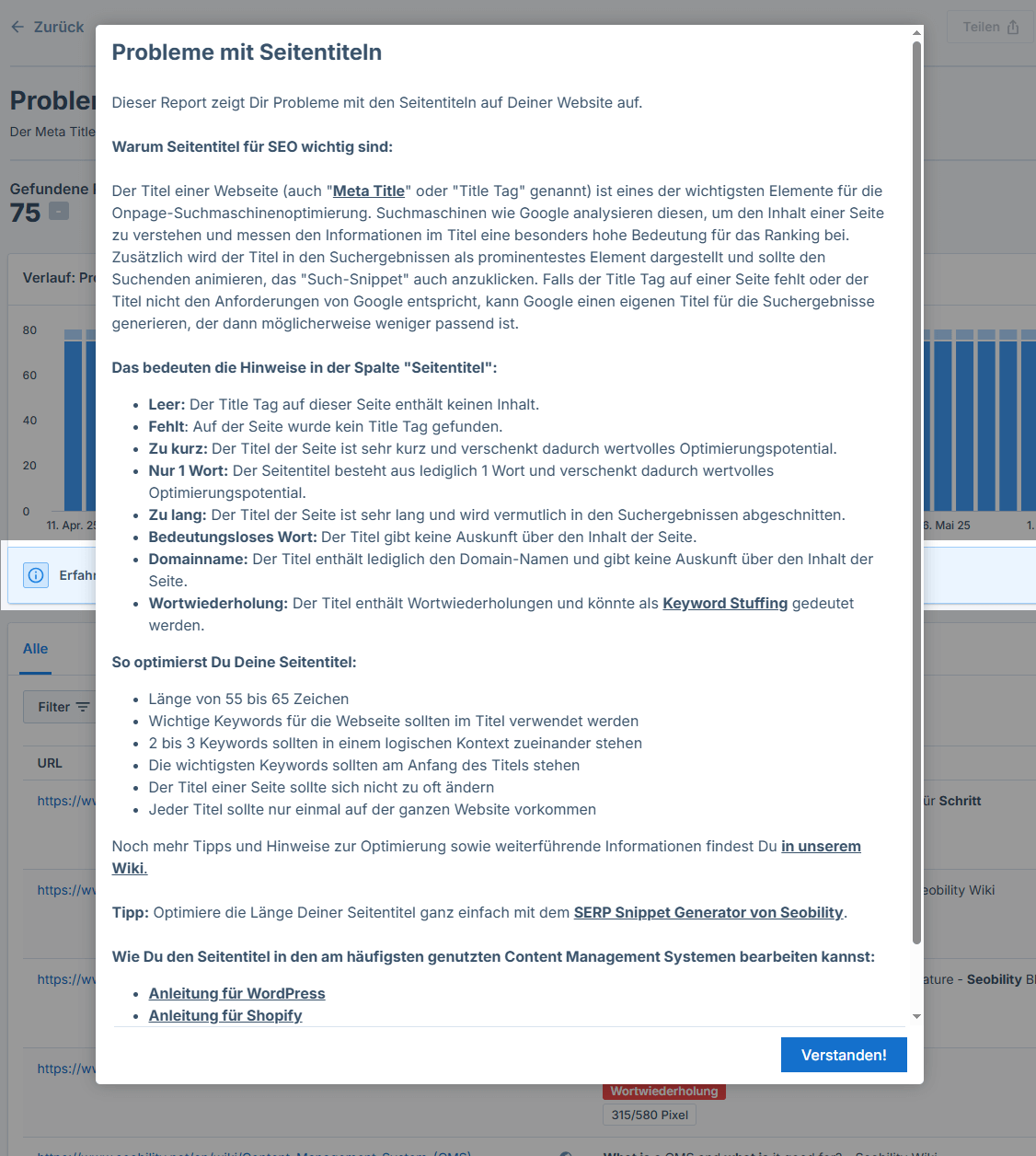 Guide zum Report in Seobility